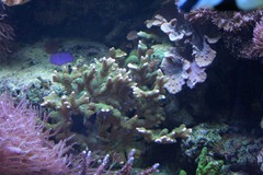 Killikus&reg; Fotographie